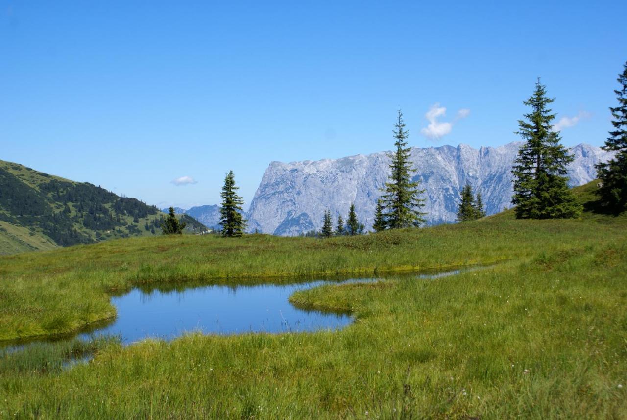 Das Sonneck Mühlbach am Hochkönig Eksteriør bilde