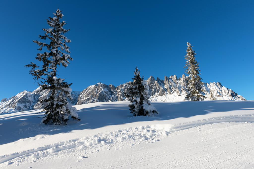Das Sonneck Mühlbach am Hochkönig Eksteriør bilde